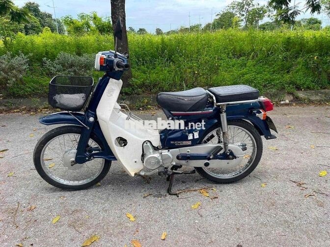 Honda Super Cub 50cc Xanh trắng