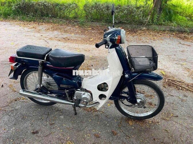 Honda Super Cub 50cc Xanh trắng