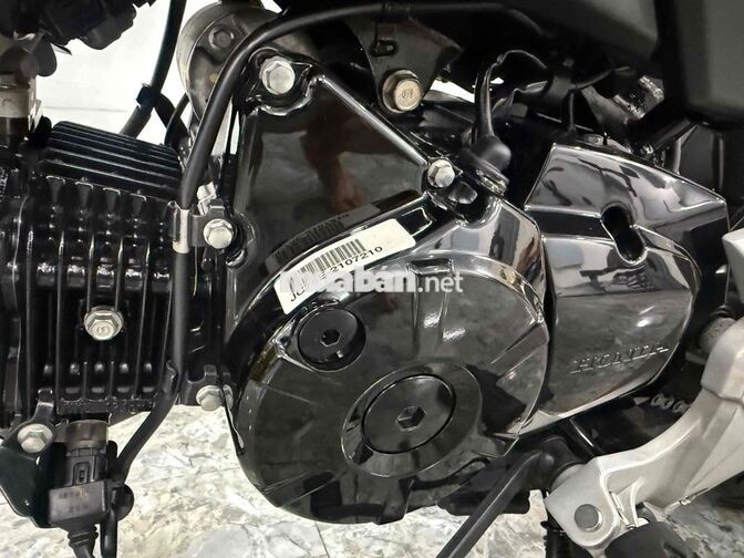 Honda MSX125 2018 Xanh lá 1000 km 99%