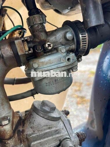 Honda Super Cub 50cc Xanh trắng