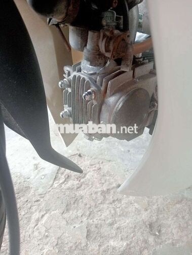 Sirus 50cc xanh trắng 
