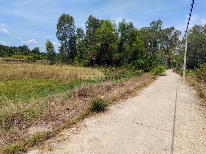 🔥 GIÁ MỚI 3,9 TỶ – 1.100M² MT CÁ SÚC, BÌNH KHÁNH – CẦN GIỜ