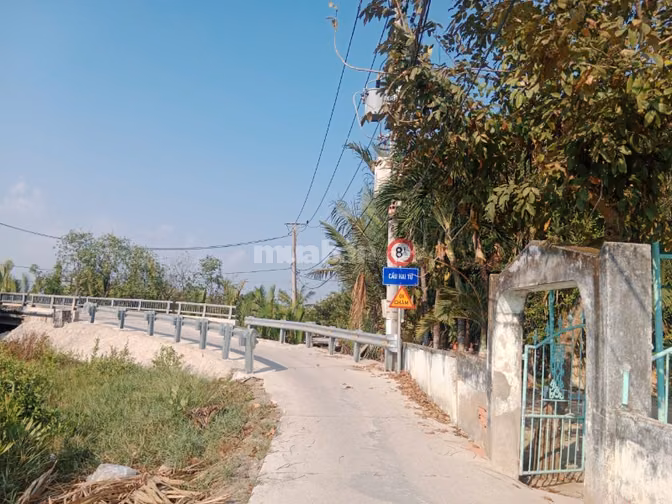 🔥 GIÁ MỚI 3,9 TỶ – 1.100M² MT CÁ SÚC, BÌNH KHÁNH – CẦN GIỜ