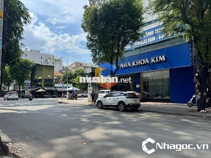 Spa - nha khoa MT 96 Tôn Thất Tùng, Q1. Dt: 5,2x20m, Kc: trệt 1 lầu