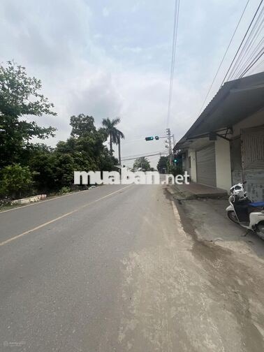 Mặt phố Phan Đăng Lưu, cầu Đen An Dương, đất xây xưởng, 186m2, 4,25 tỷ