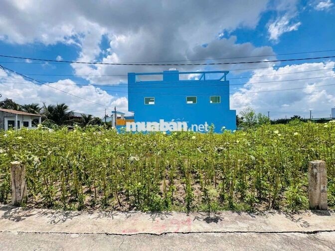 chỉ 270tr sở hữu 50m² đất ngay trung tâm tân trụ cực đẹp