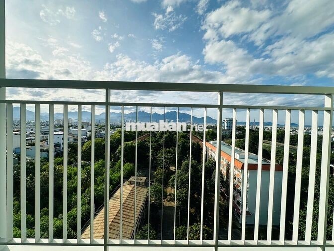 🏡✨ CĂN HỘ 2PN CHUNG CƯ MIA ✨🏡