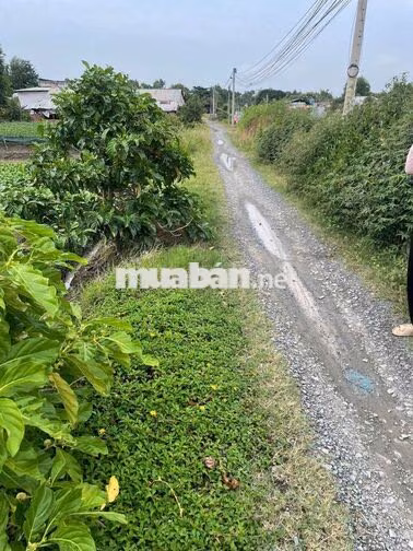 đất nông nghiệp (tại xã phước hậu củ)