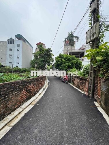 Bán đất Bát Khối -Đông Dư 90m2 8.5 tỷ