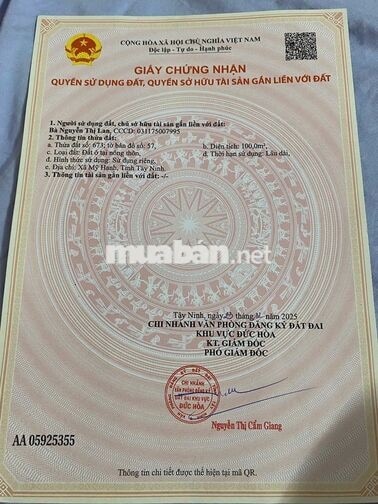 Bán đất giá siêu hời tại Mỹ Hạnh Nam, 1,1 tỷ, 100m2