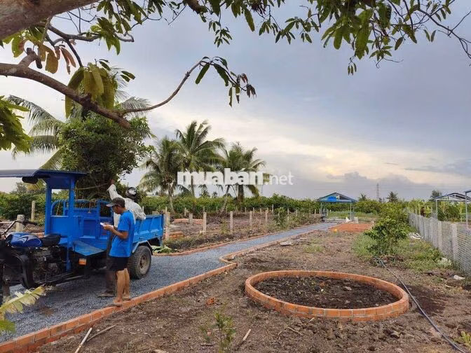 chỉ 490tr sở hữu 540m² đất xây nhà vườn view kênh 490tr