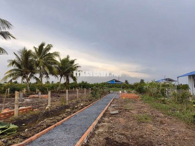 chỉ 490tr sở hữu 540m² đất xây nhà vườn view kênh 490tr