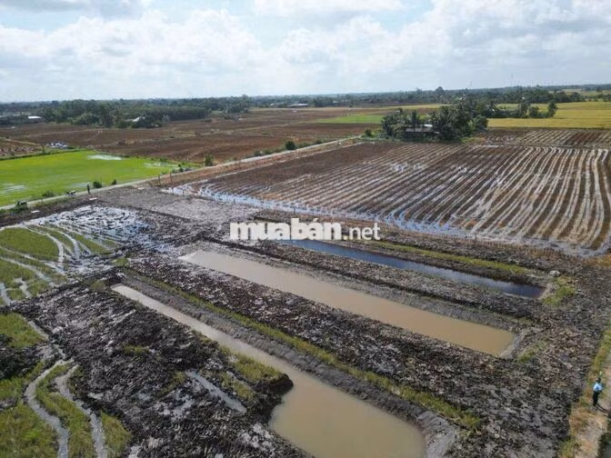 Siêu phẩm, 1463m² đất có 300m² thổ cư đường xe tải. chỉ 1.28 tỷ