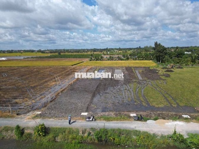 Siêu phẩm, 1463m² đất có 300m² thổ cư đường xe tải. chỉ 1.28 tỷ