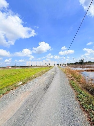 Siêu phẩm, 1463m² đất có 300m² thổ cư đường xe tải. chỉ 1.28 tỷ