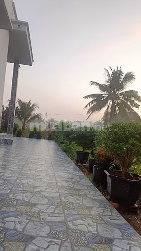 Bán nhà vườn ấp Chánh Long hiệp 1123m2 giá 3tỷ 