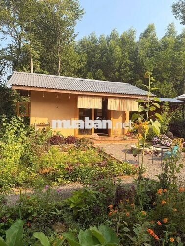 🌿 CHÍNH CHỦ CẦN BÁN NHÀ VƯỜN VIEW HỒ – KHÔNG GIAN NGHỈ DƯỠNG ĐẸP 🌿