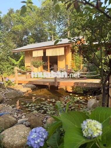 🌿 CHÍNH CHỦ CẦN BÁN NHÀ VƯỜN VIEW HỒ – KHÔNG GIAN NGHỈ DƯỠNG ĐẸP 🌿