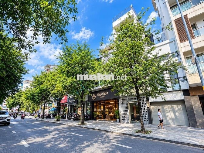 CHO THUÊ NHÀ ĐỐI DIỆN CHỢ BẾN THÀNH QUẬN 1- TRỆT 2 LẦU DT 5X 18M