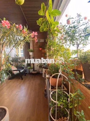 🌺Giỏ hàng căn hộ bán shr*cc BellezaQ7*Đầy đủ dt  45-185m2*Giá 2.35 tỷ