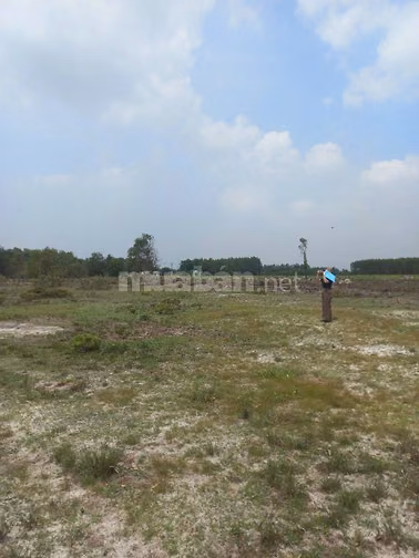 Công ty Đấu giá hợp danh Lam Sơn Sài Gòn THÔNG BÁO ĐẤU GIÁ TÀI SẢN