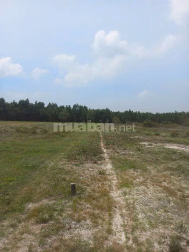 Công ty Đấu giá hợp danh Lam Sơn Sài Gòn THÔNG BÁO ĐẤU GIÁ TÀI SẢN