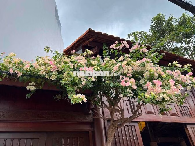 CHO THUÊ 2 MẶT TIỀN HOA LAN PHÚ NHUẬN,TRỆT LẦU SÂN THƯỢNG,DTSD 400M2