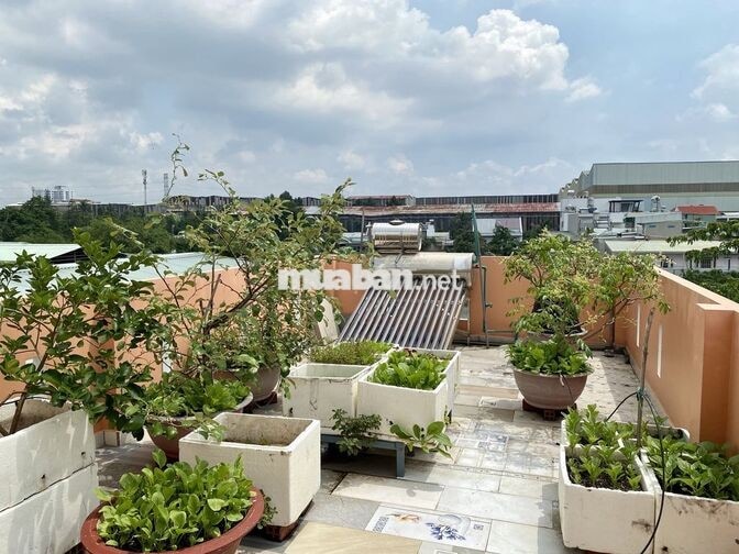 Bán nhà Hướng Nam mát mẻ, đường 5m, sân vườn, nội thất gỗ căm xe xịn