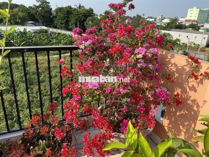 Bán nhà Hướng Nam mát mẻ, đường 5m, sân vườn, nội thất gỗ căm xe xịn
