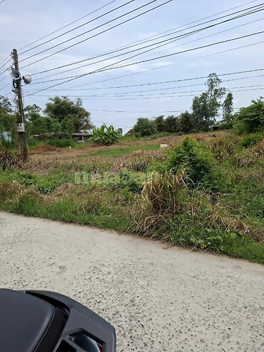 Bán đất đường Trại Cá xã Gò Công Đông 500m2 giá 450tr