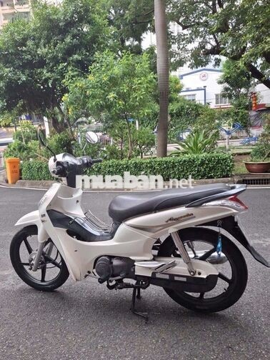 SYM Angela 2015 Trắng Xe số