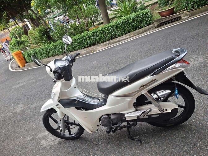 SYM Angela 2015 Trắng Xe số