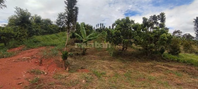 BÁN ĐẤT NÔNG NGHIỆP GẦN 2.000M² – LỘC ĐỨC CŨ, BẢO LÂM 2, LÂM ĐỒNG