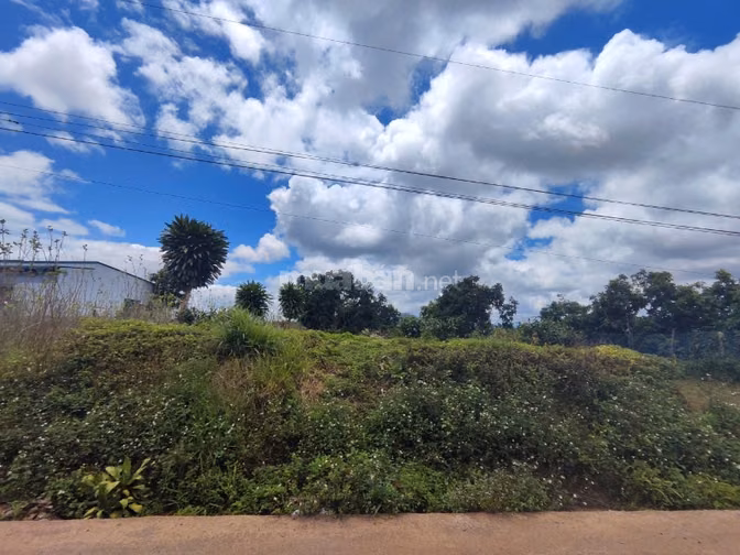 BÁN ĐẤT NÔNG NGHIỆP GẦN 2.000M² – LỘC ĐỨC CŨ, BẢO LÂM 2, LÂM ĐỒNG