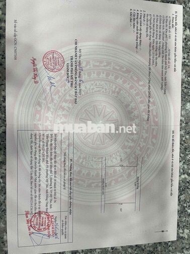 Bán Đất nền biệt thự Phường Mỹ Tho
