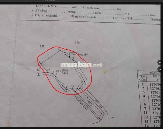 Nhà Không Có Người Làm Nên Bán rẻ Đát Vườn Xã Đại Lào