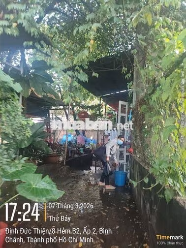 🔥 BÁN ĐẤT CLN 62m XÃ BÌNH CHÁNH – KDC HIỆN HỮU