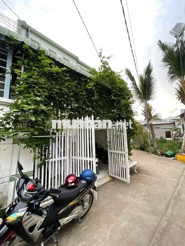Cho thuê nhà đường Trần Nam Phú