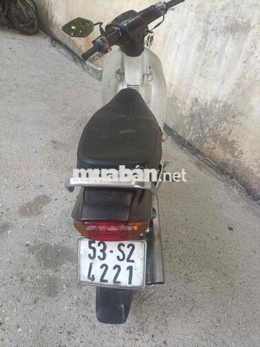Honda Dream Thái Nâu, Trắng