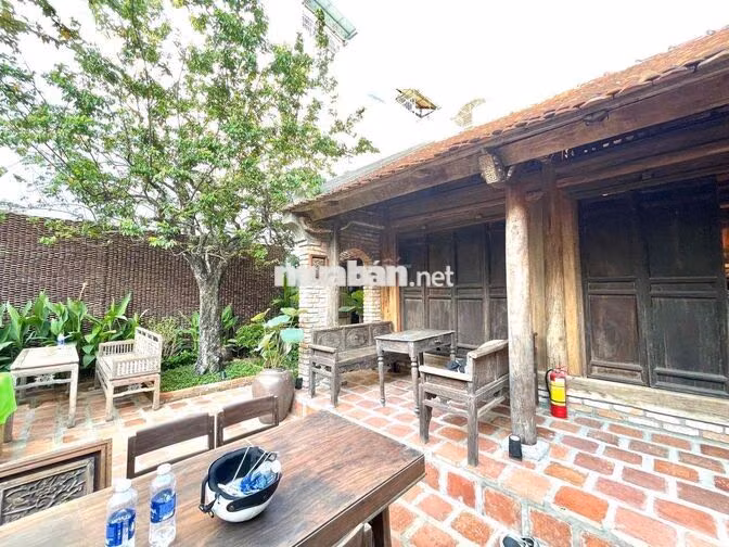 🏡 CHO THUÊ NHÀ CỔ SÂN VƯỜN – CONCEPT VỊNH BẮC BỘ | PHƯỚC TIẾN 💰 Giá th