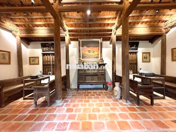 🏡 CHO THUÊ NHÀ CỔ SÂN VƯỜN – CONCEPT VỊNH BẮC BỘ | PHƯỚC TIẾN 💰 Giá th