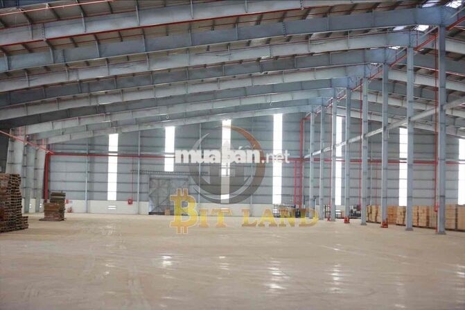 Cho thuê xưởng 3000m2 tại KCN Long Thành, đầy đủ công năng