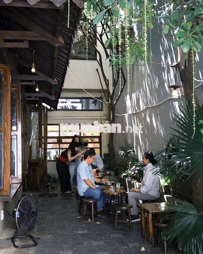 BIỆT THỰ SÂN VƯỜN, DTSD 230M3, HẺM OTO 357 BẠCH ĐẰNG QUẬN BÌNH THẠNH