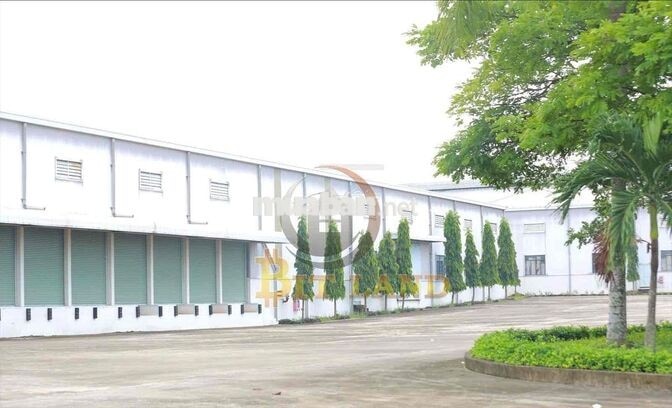 Cho thuê xưởng 3000m2 tại KCN Long Thành, đầy đủ công năng