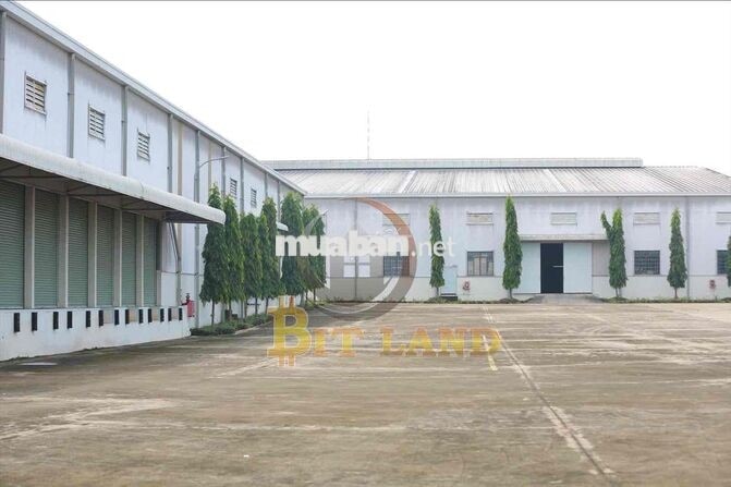 Cho thuê xưởng 3000m2 tại KCN Long Thành, đầy đủ công năng