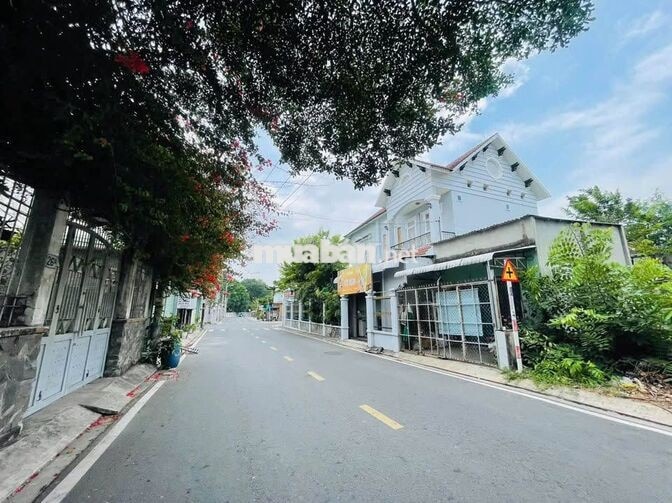 CHỦ KẸT TIỀN BÁN GẤP ĐẤT MẶT TIỀN NHỰA THỊ TRẤN CỦ CHI 359M2/730 TRIỆU