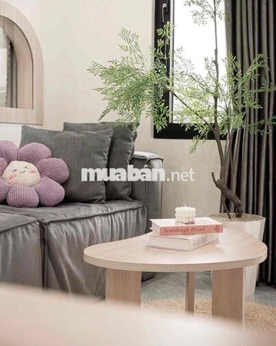 ✨CHO THUÊ CHUNG CƯ MINI 1PN 65M2 BAN CÔNG THANG MÁY NGAY BÙI ĐÌNH TUÝ