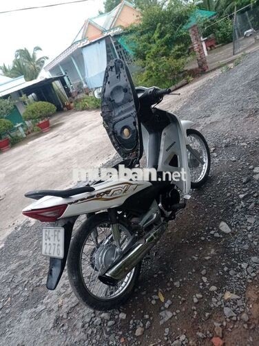 Honda Wave 50 Trắng