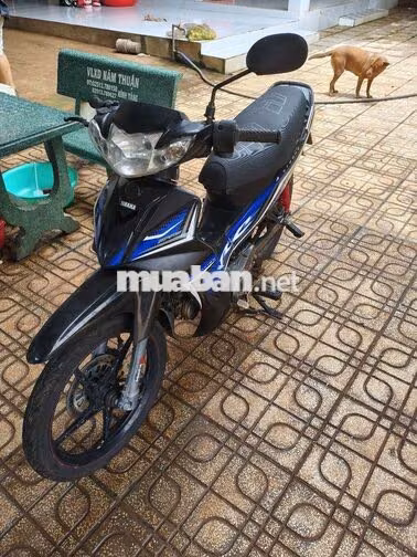 Yamaha Sirius RC 50cc Đen, Xanh