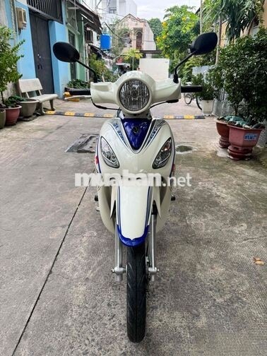 SYM Angela 50 Trắng Xanh 50cc Chính Chủ